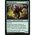 Magic: The Gathering Graypelt Hunter (013) Lightly Played