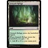 Magic: The Gathering Graypelt Refuge (032) Lightly Played