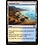 Magic: The Gathering Tranquil Cove (034) Moderately Played