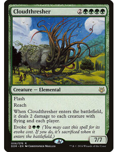 Magic: The Gathering Cloudthresher (006) Lightly Played