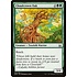 Magic: The Gathering Cloudcrown Oak (045) Moderately Played