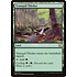 Magic: The Gathering Tranquil Thicket (029) Lightly Played
