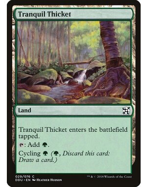 Magic: The Gathering Tranquil Thicket (029) Moderately Played