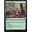 Magic: The Gathering Tranquil Thicket (029) Moderately Played
