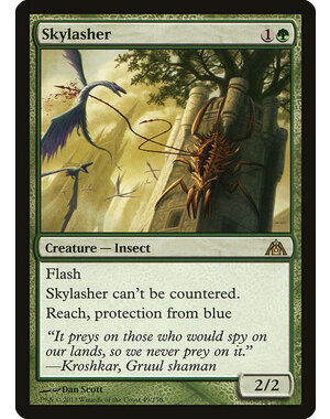 Magic: The Gathering Skylasher (049) Lightly Played