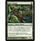 Magic: The Gathering Simic Initiate (092) Moderately Played