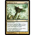 Magic: The Gathering Leafdrake Roost (116) Moderately Played