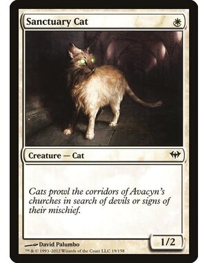 Magic: The Gathering Sanctuary Cat (019) Near Mint