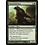 Magic: The Gathering Ulvenwald Bear (129) Lightly Played