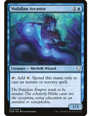 Magic: The Gathering Vodalian Arcanist (073) Lightly Played