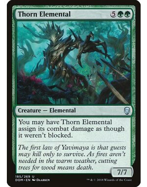 Magic: The Gathering Thorn Elemental (185) Lightly Played