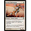 Magic: The Gathering Auriok Glaivemaster (001) Near Mint