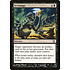 Magic: The Gathering Scrounge (053) Moderately Played