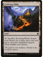 Magic: The Gathering Evolving Wilds (248) Lightly Played