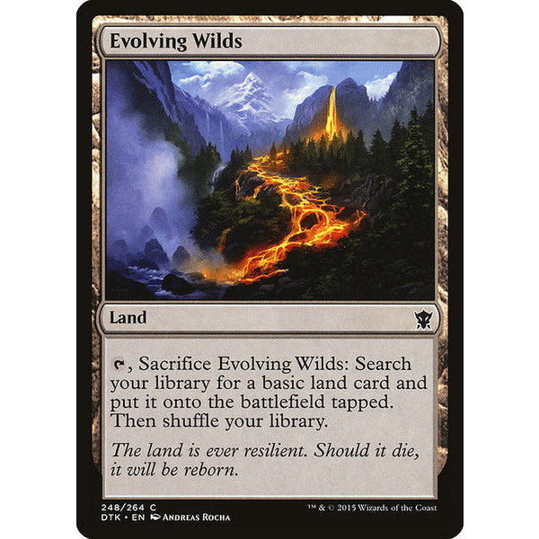 Magic: The Gathering Evolving Wilds (248) Lightly Played