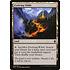 Magic: The Gathering Evolving Wilds (248) Lightly Played