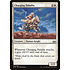 Magic: The Gathering Charging Paladin (004) Lightly Played