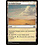 Magic: The Gathering Secluded Steppe (025) Moderately Played