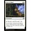 Magic: The Gathering Peace of Mind (036) Lightly Played