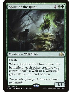 Magic: The Gathering Spirit of the Hunt (170) Near Mint