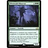 Magic: The Gathering Ulvenwald Observer (176) Near Mint