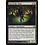 Magic: The Gathering Hag Hedge-Mage (123) Moderately Played