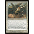 Magic: The Gathering Pegasus Stampede (014) Moderately Played