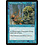 Magic: The Gathering Whiptongue Frog (052) Heavily Played