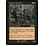 Magic: The Gathering Vampire Hounds (077) Lightly Played