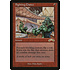 Magic: The Gathering Fighting Chance (082) Lightly Played