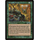 Magic: The Gathering Avenging Druid (105) Lightly Played