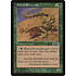 Magic: The Gathering Plated Rootwalla (116) Lightly Played