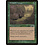 Magic: The Gathering Predatory Hunger (117) Moderately Played