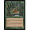 Magic: The Gathering Rootwater Alligator (122) Lightly Played