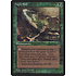 Magic: The Gathering Night Soil (Tucker) (71c) Lightly Played
