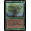 Magic: The Gathering Spore Cloud (Myrfors) (72b) Lightly Played