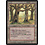 Magic: The Gathering Havenwood Battleground (096) Lightly Played