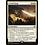 Magic: The Gathering Citadel Siege (008) Lightly Played