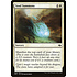 Magic: The Gathering Soul Summons (026) Lightly Played