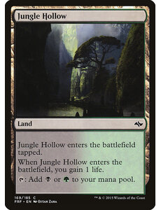 Magic: The Gathering Jungle Hollow (169) Lightly Played