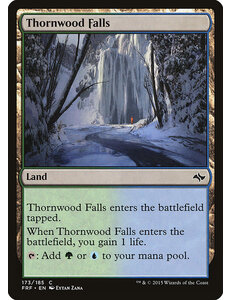 Magic: The Gathering Thornwood Falls (173) Lightly Played
