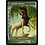 Magic: The Gathering Nessian Courser (148) Moderately Played