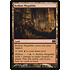 Magic: The Gathering Keldon Megaliths (170) Lightly Played