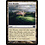 Magic: The Gathering New Benalia (172) Lightly Played