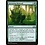 Magic: The Gathering Sprouting Renewal (145) Lightly Played
