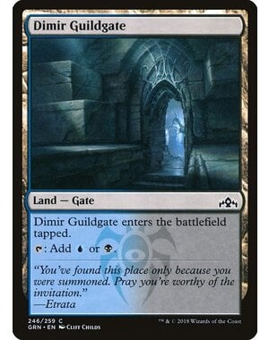 Magic: The Gathering Dimir Guildgate (246) Lightly Played
