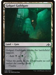 Magic: The Gathering Golgari Guildgate (248) Lightly Played