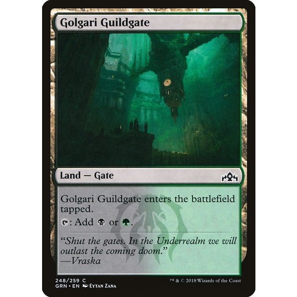 Magic: The Gathering Golgari Guildgate (248) Lightly Played