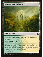 Magic: The Gathering Selesnya Guildgate (255) Lightly Played