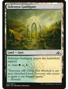 Magic: The Gathering Selesnya Guildgate (255) Lightly Played